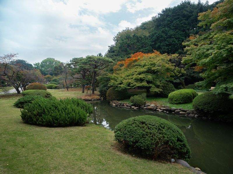 みどり庭園デザイン株式会社 2